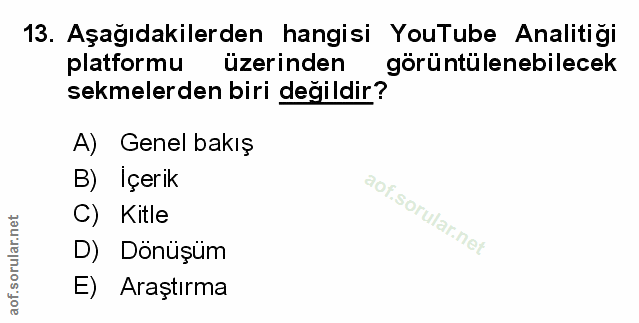 Soru 13