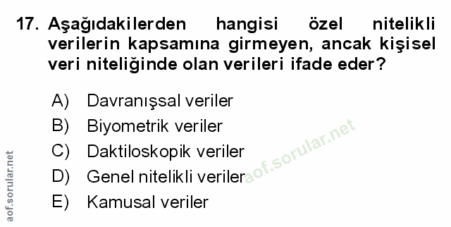 Soru 17