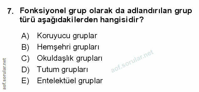 Soru 7