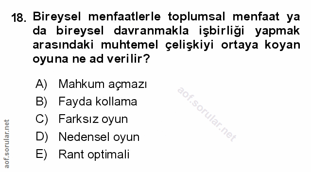 Soru 18