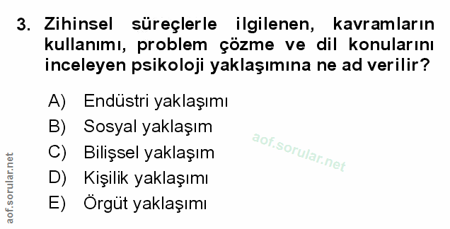 Soru 3