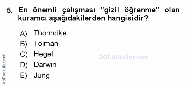 Soru 5