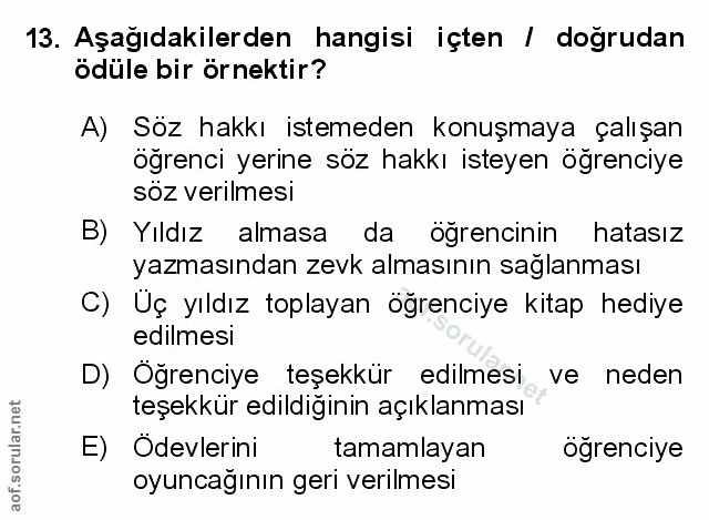Soru 13