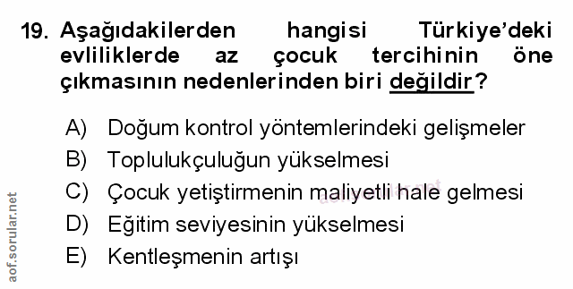 Soru 19