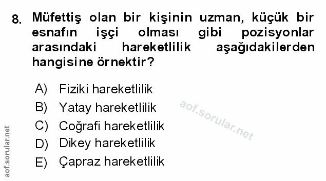Soru 8