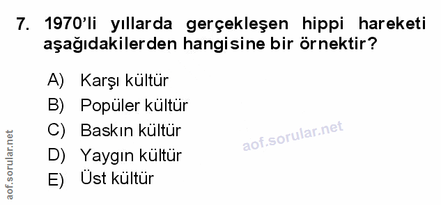Soru 7