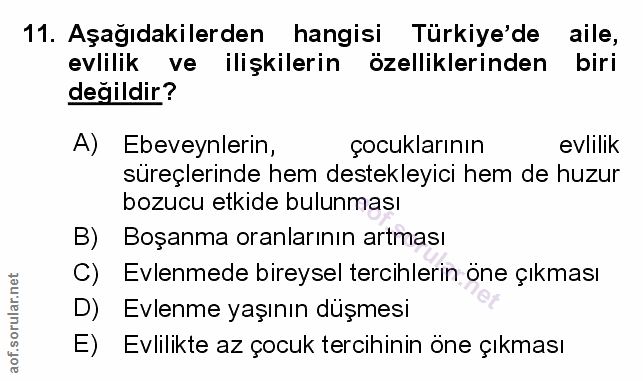 Soru 11
