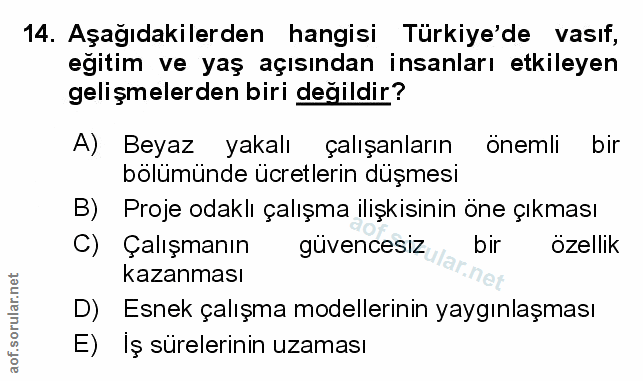 Soru 14