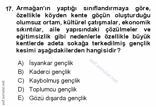 Soru 17