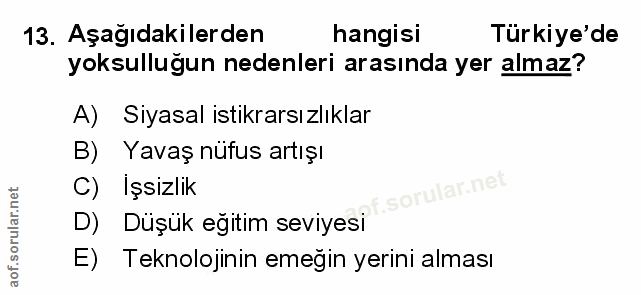 Soru 13
