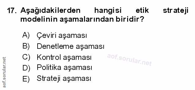 Soru 17