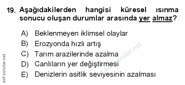 Soru 19
