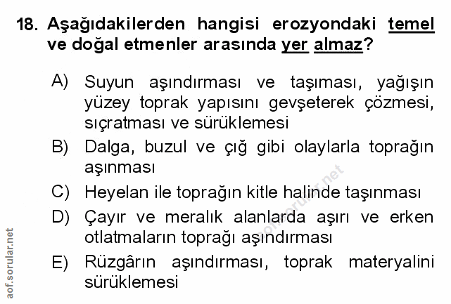 Soru 18