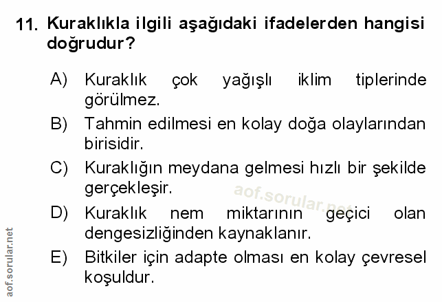 Soru 11