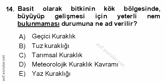 Soru 14