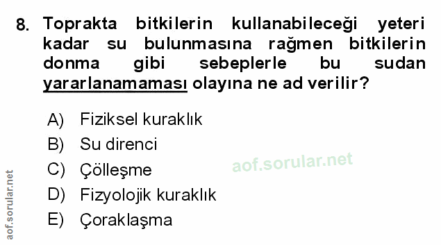 Soru 8