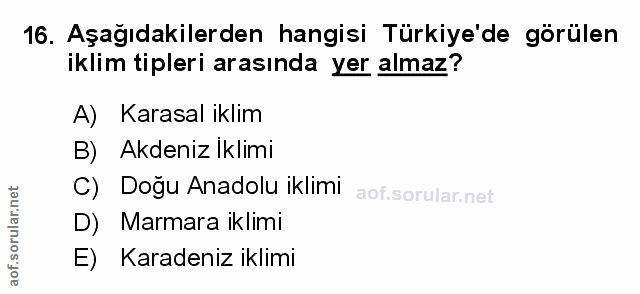 Soru 16