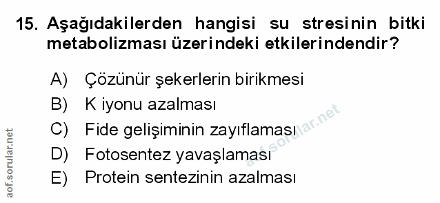 Soru 15