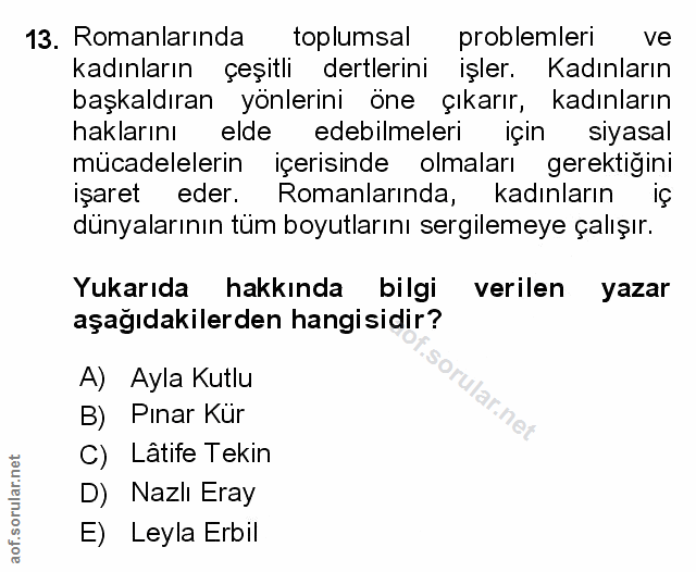 Soru 13