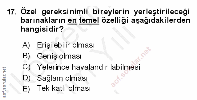 Soru 17