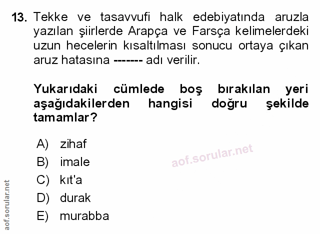 Soru 13