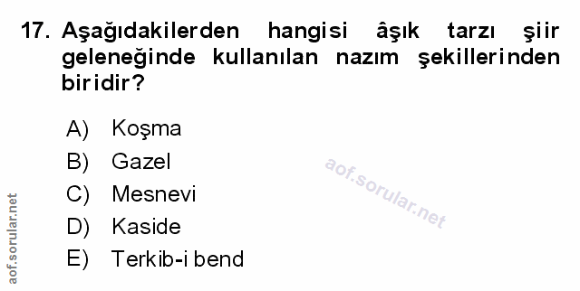 Soru 17