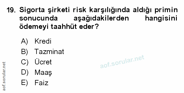 Soru 19