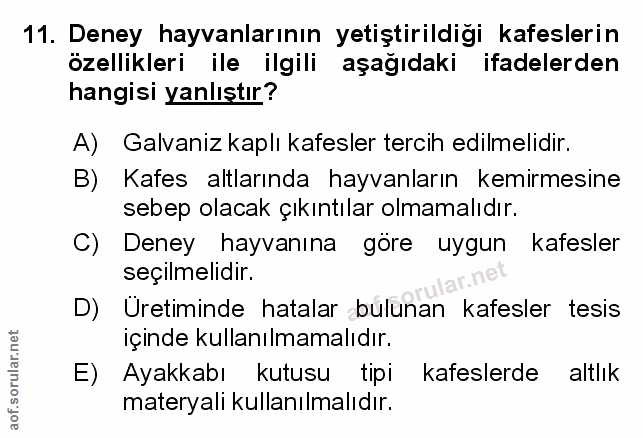 Soru 11