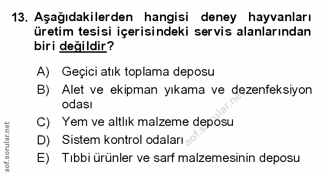 Soru 13