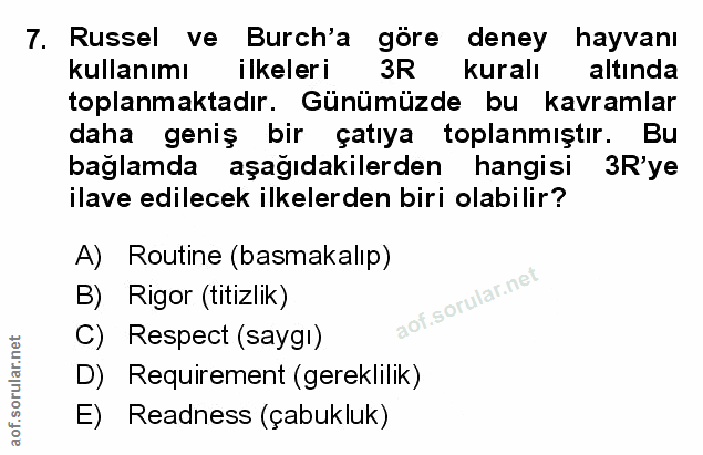 Soru 7