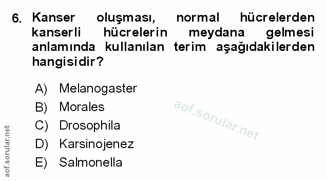 Soru 6