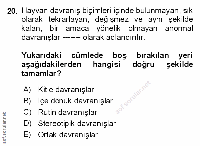 Soru 20