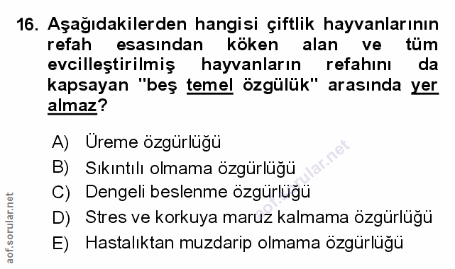 Soru 16