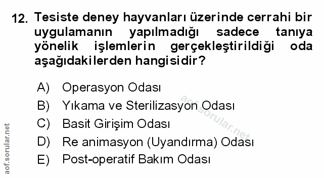Soru 12