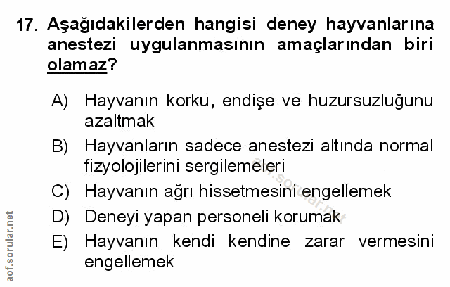 Soru 17