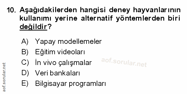 Soru 10