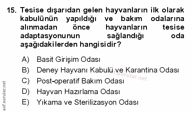 Soru 15