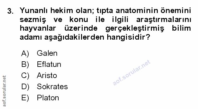 Soru 3