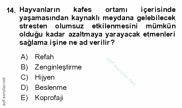Soru 14