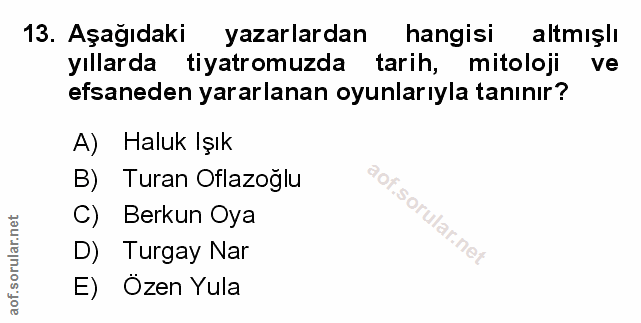 Soru 13
