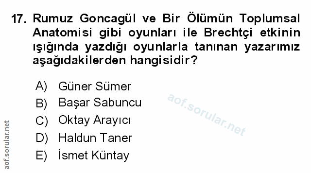 Soru 17