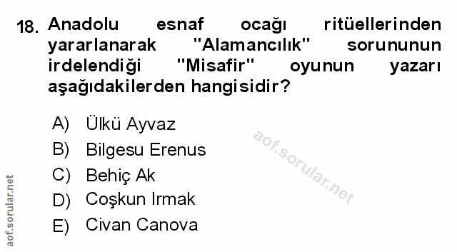Soru 18