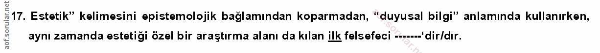 Soru 17
