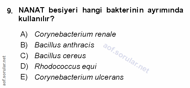 Soru 9