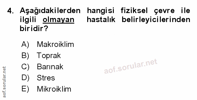 Soru 4