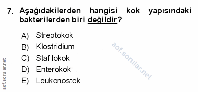 Soru 7
