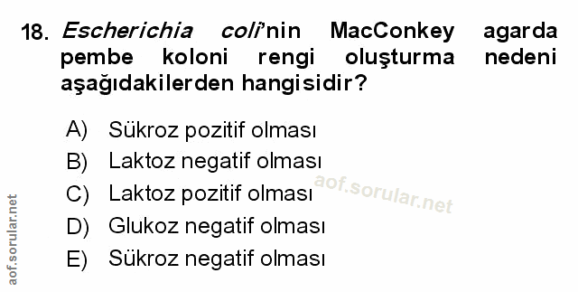 Soru 18