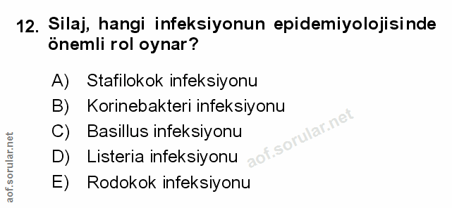 Soru 12