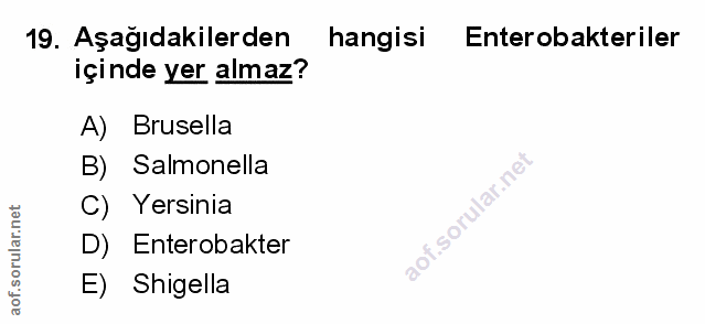 Soru 19