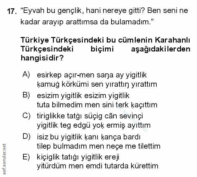 Soru 17